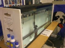 Trout Tank 2012 